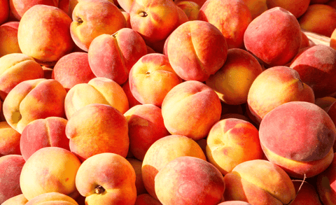 How To Can Peaches with Denali Canning