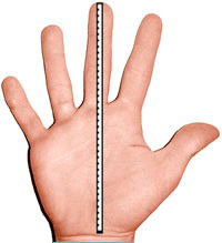 Diagram demonstrating proper palm width measurement