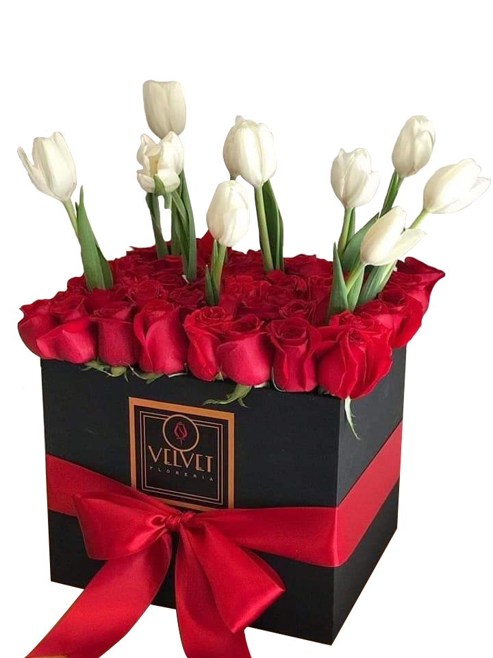 48 rosas rojas y 10 tulipanes. – Velvet Florería