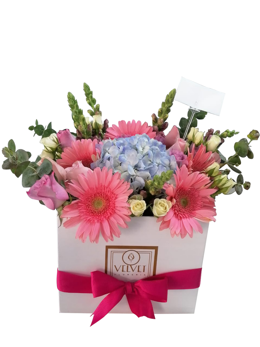 Rosas, gerberas y hortensia en caja blanca. – Velvet Florería