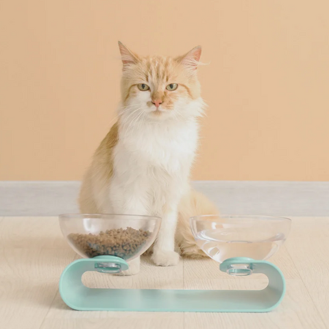 Furry Hydration: 10 Tips to Encourage Your Cat to Drink More Water