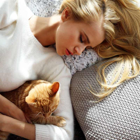 A Comprehensive Guide to Sleeping with Your Cat | Higooga Blog