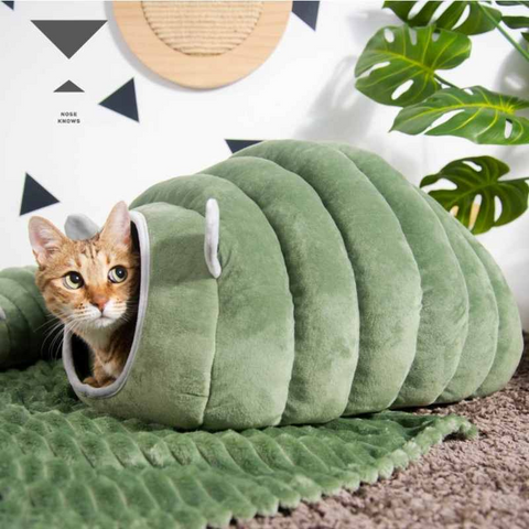 What You Need to Know About Choosing the Right Cat Bed