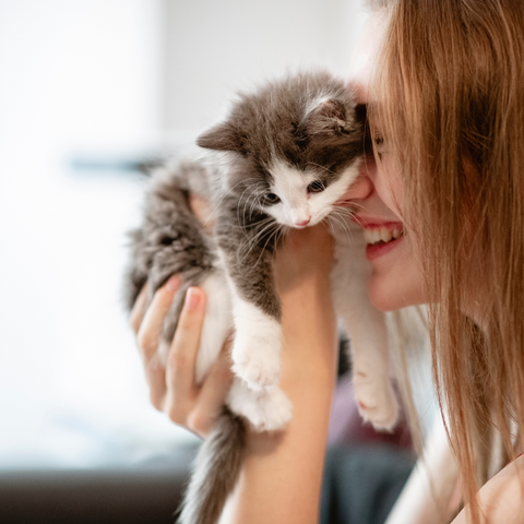Stop Kitten Biting | Higooga Blog