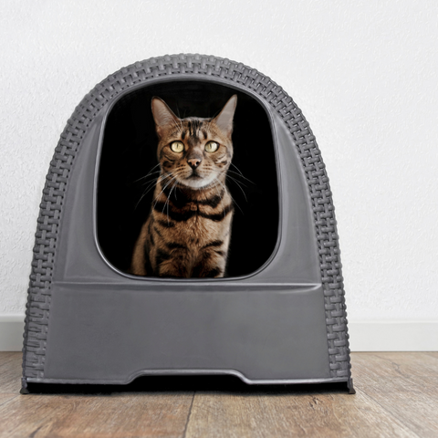 How To Choose The Best Litter Box For Your Cat | Higooga Blog