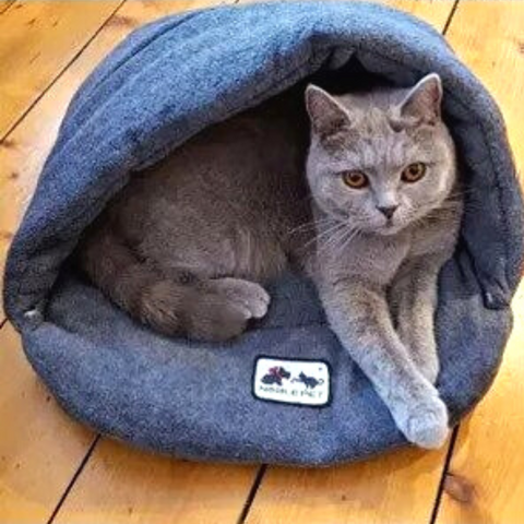 What You Need to Know About Choosing the Right Cat Bed