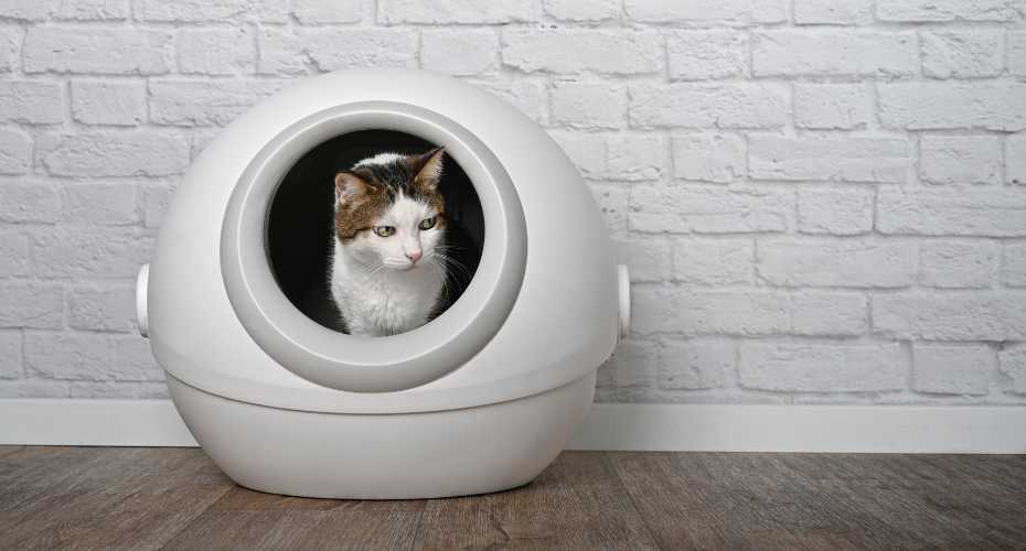 All About Automatic Cat Litter Boxes | Higooga Blog