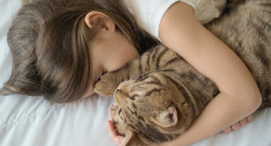 A Comprehensive Guide to Sleeping with Your Cat | Higooga Blog