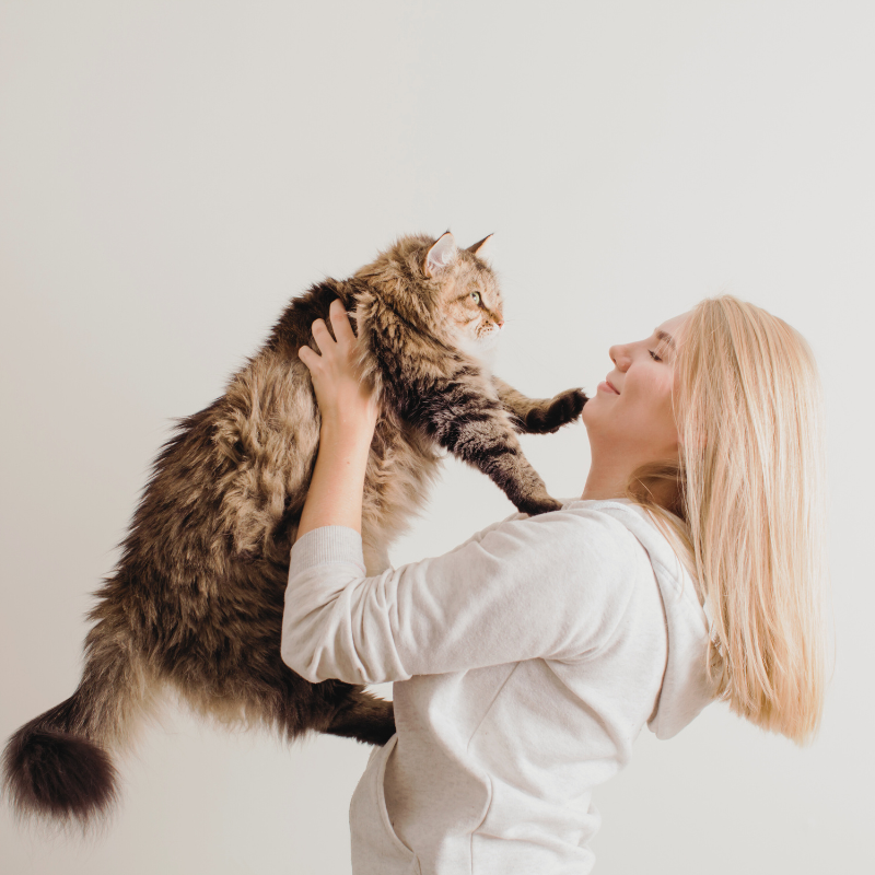Cat Adoption Procedures: What You Need to Know Before Bringing a Furry Friend Home