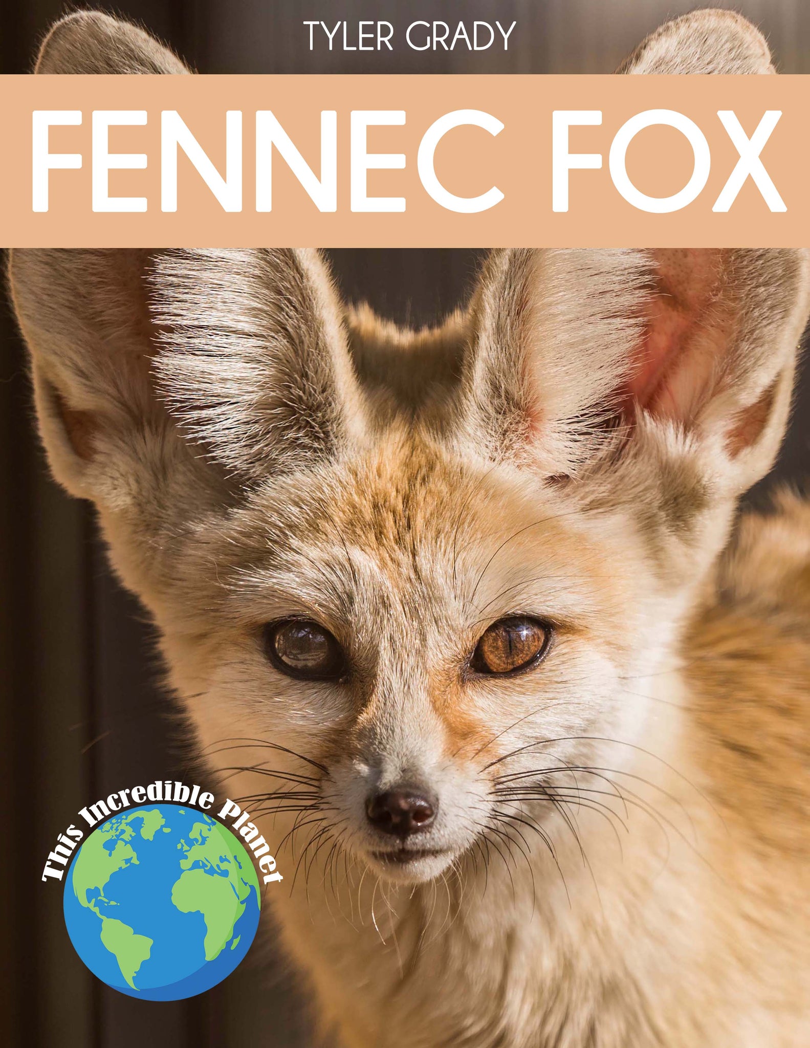 fennec fox pet price