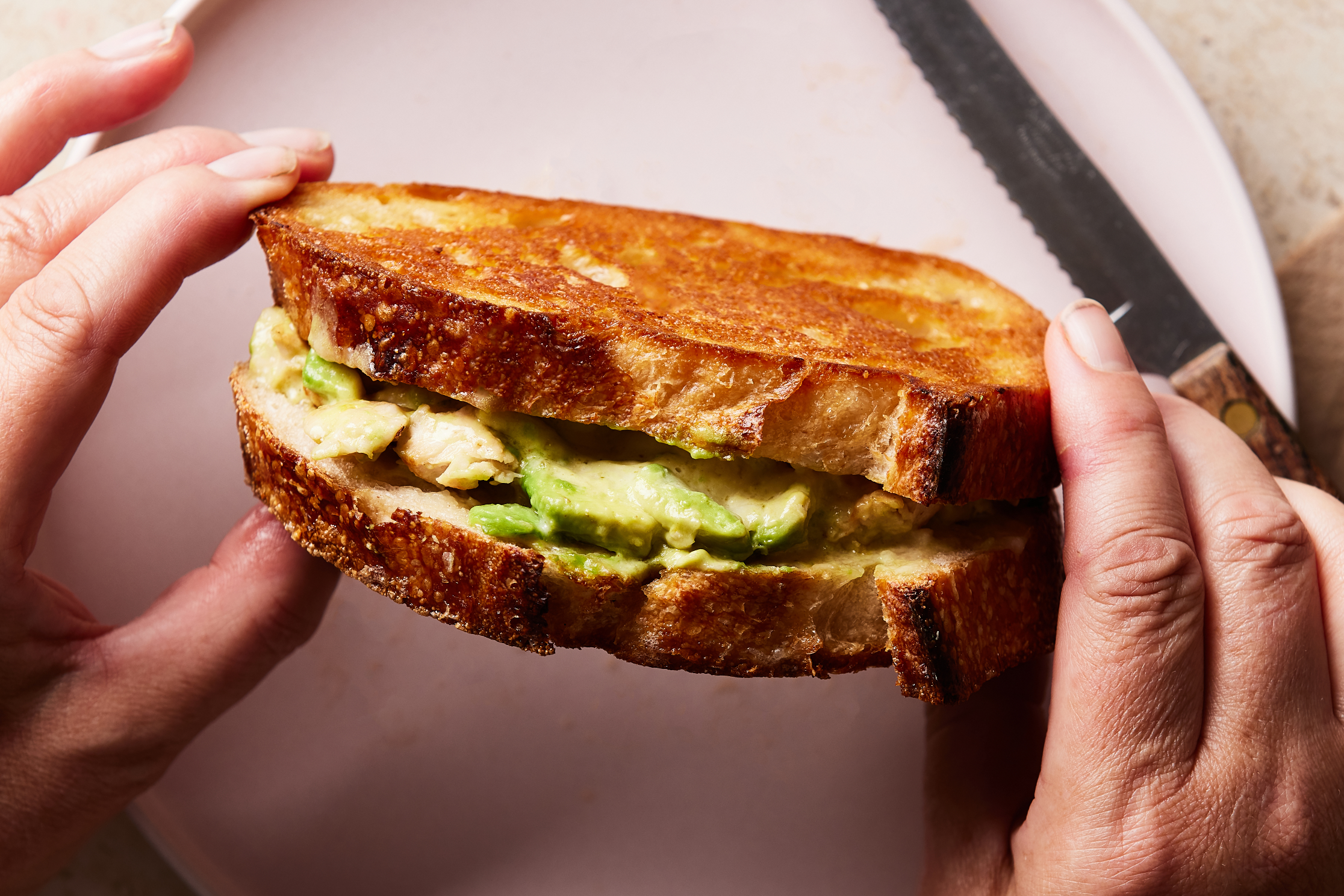 Cheese, chicken and avocado