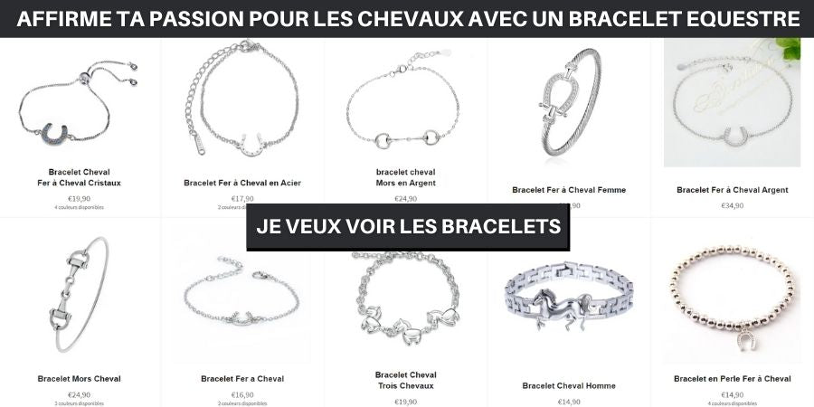 Collection Bracelets Chevaux