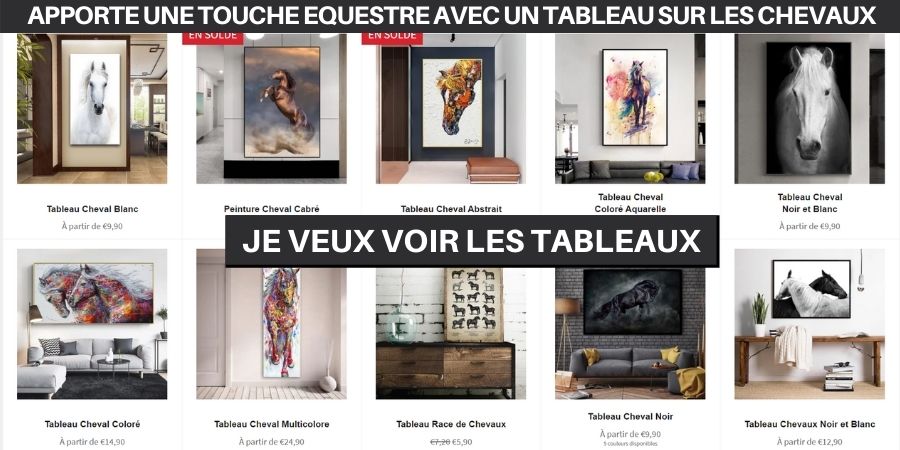 Collection Tableaux Chevaux