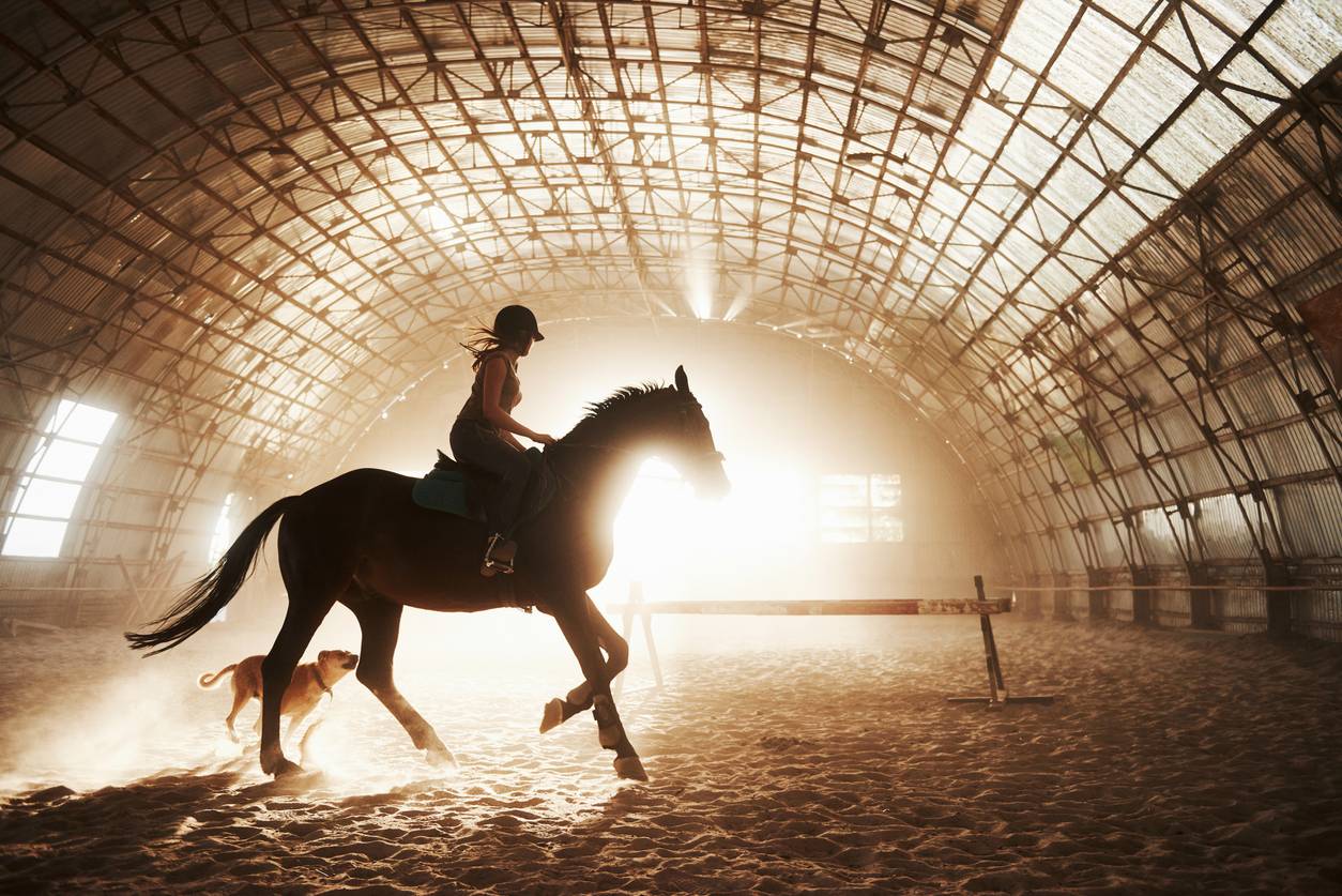 Les 5 erreurs à éviter pour l'entretien du pied d'un cheval