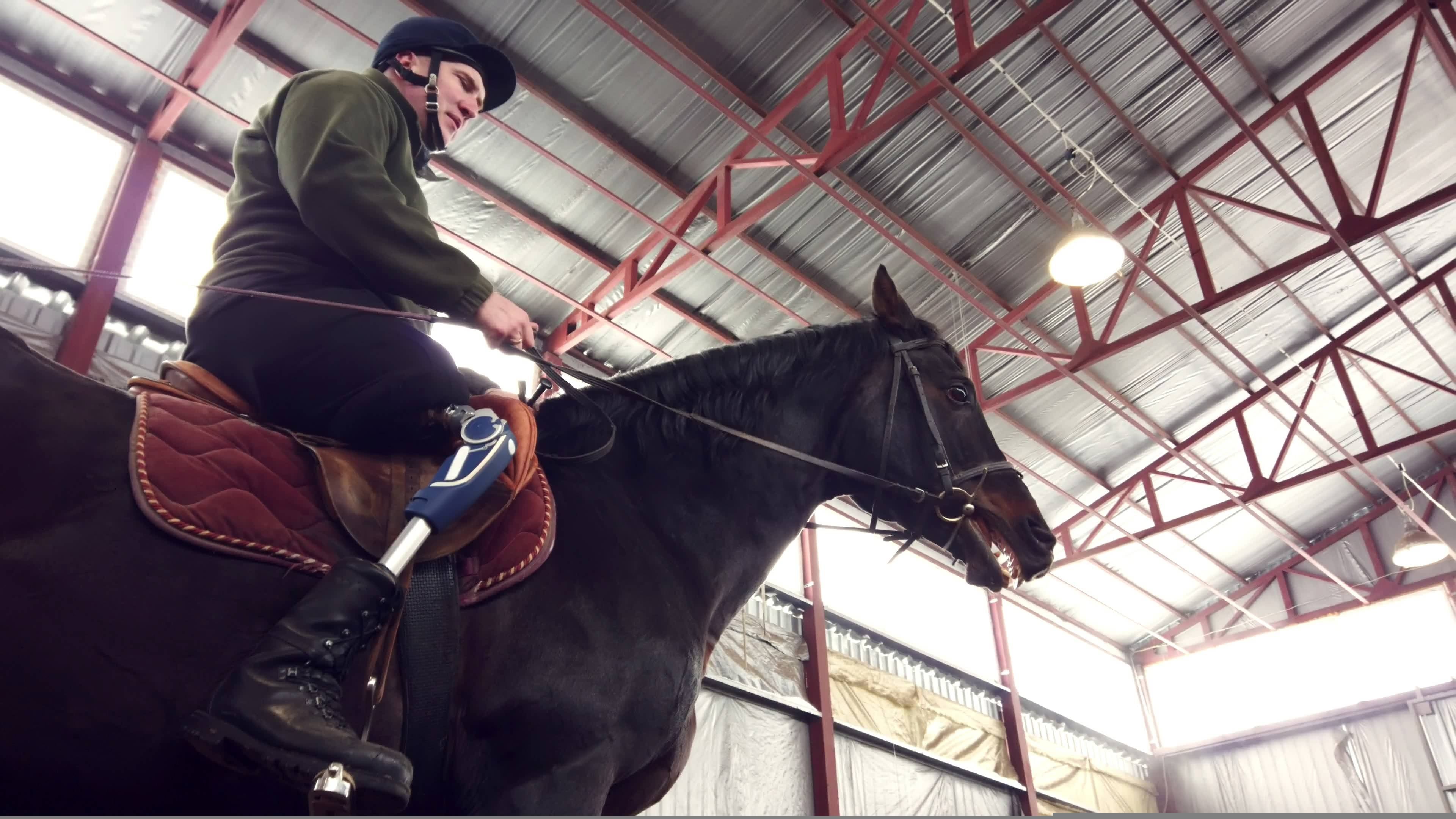 Les 5 erreurs à éviter pour l'entretien du pied d'un cheval