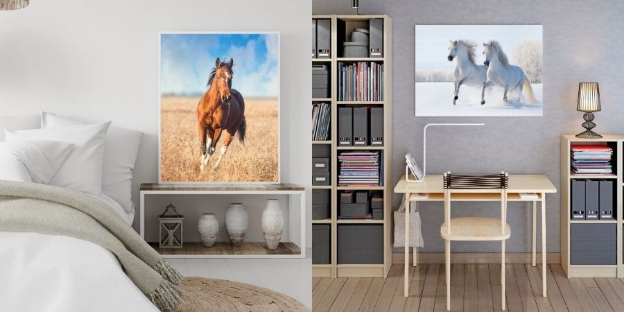 Collection poster cheval