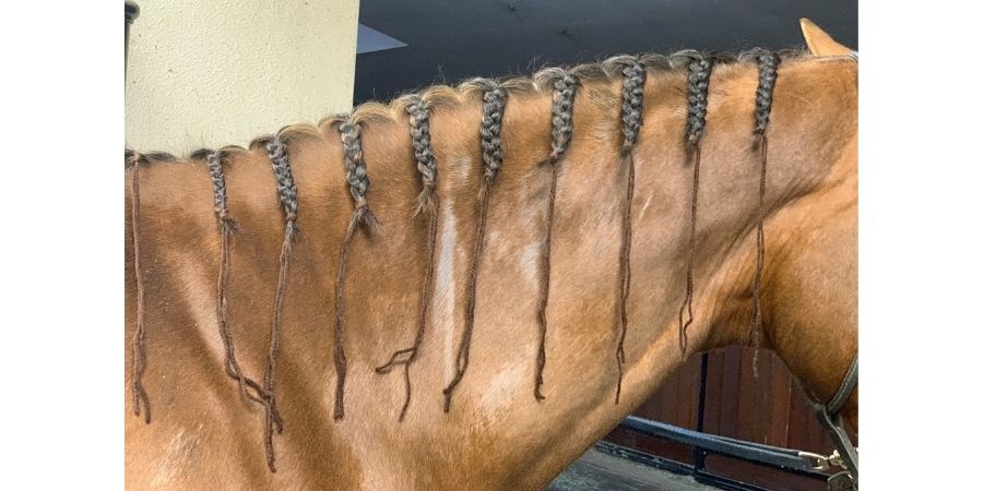 Tresse cheval fini