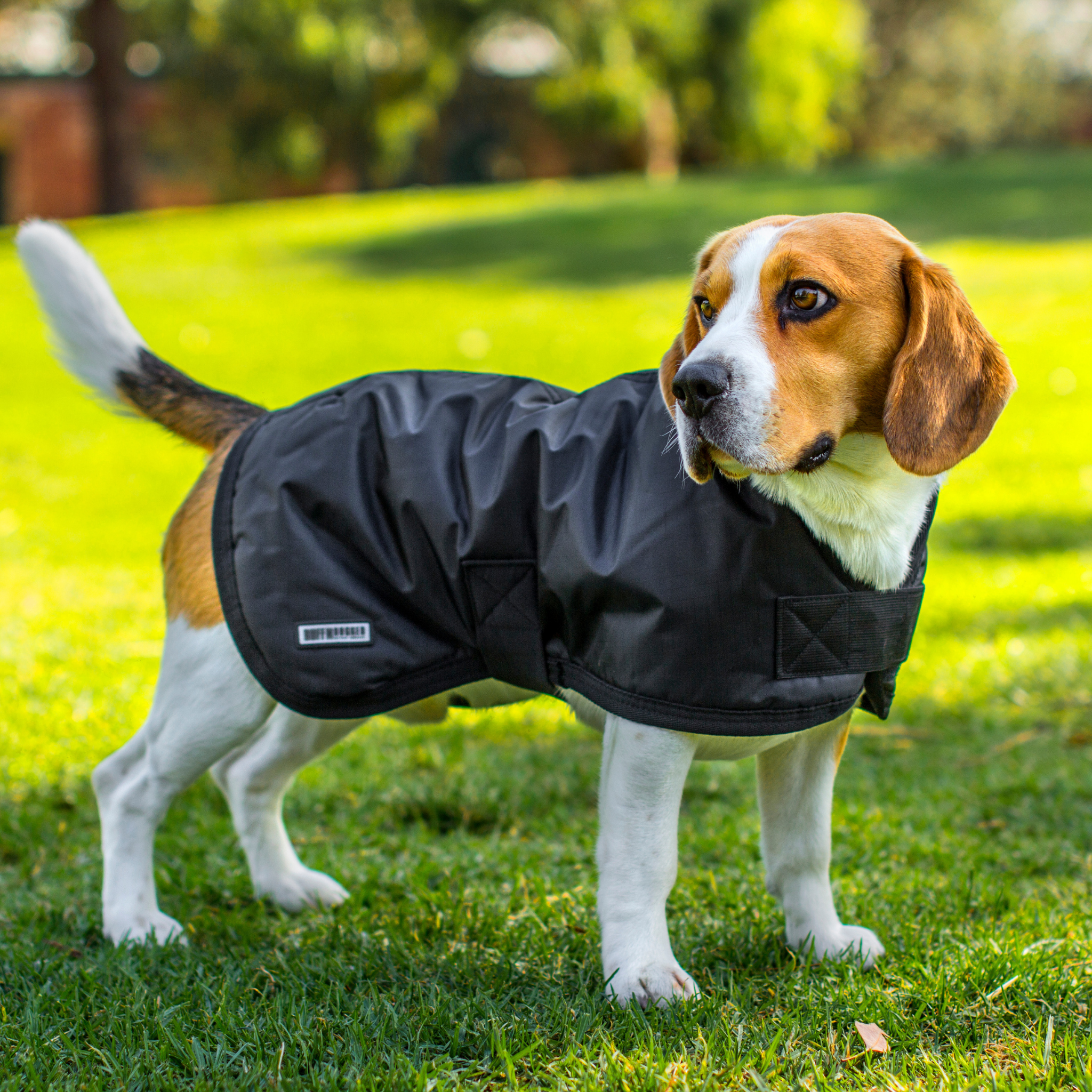 ruff rugged outdoor dog wear