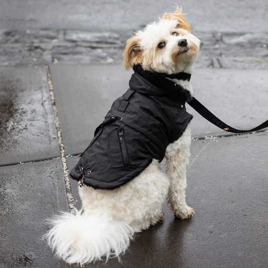 PINK FAUX FUR CHEWY VUITTON DOG COAT