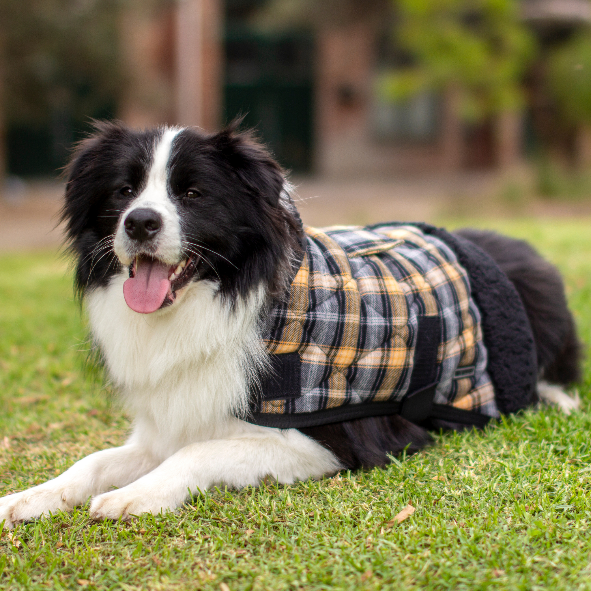 ruff rugged outdoor dog wear