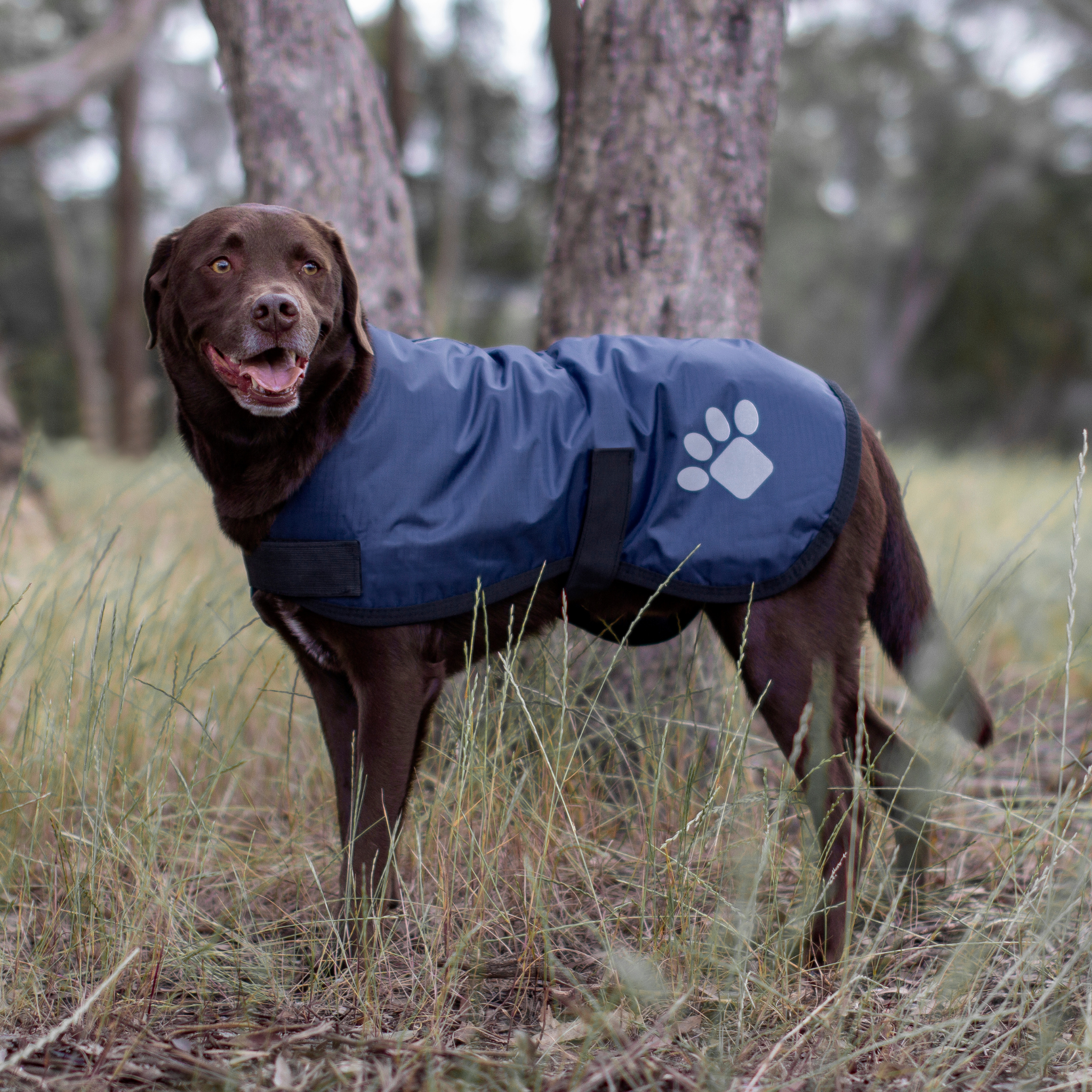 ruff rugged outdoor dog wear