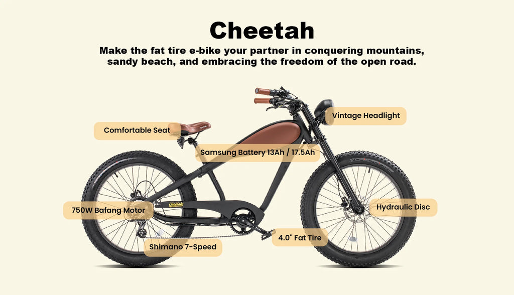 Revi Bikes Cheetah