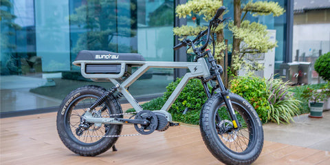 The Longest Range E-bike