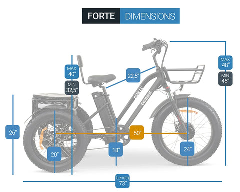 Forte Dimensions