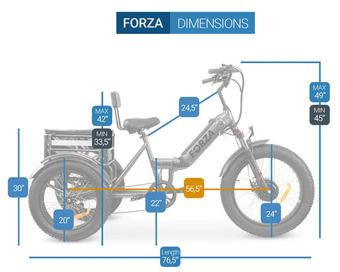 Forza Dimensions