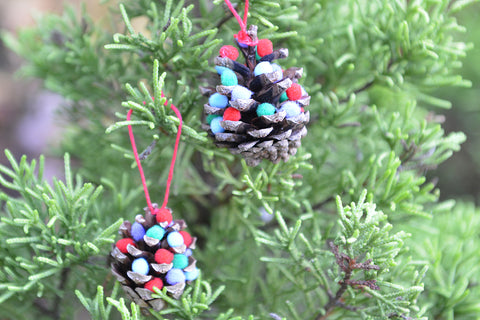 Pine cone Christmas craft