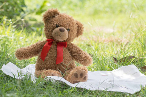 Teddy bear's picnic