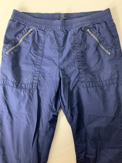 Gap Capri Pants Size 12 — Family Tree Resale 1