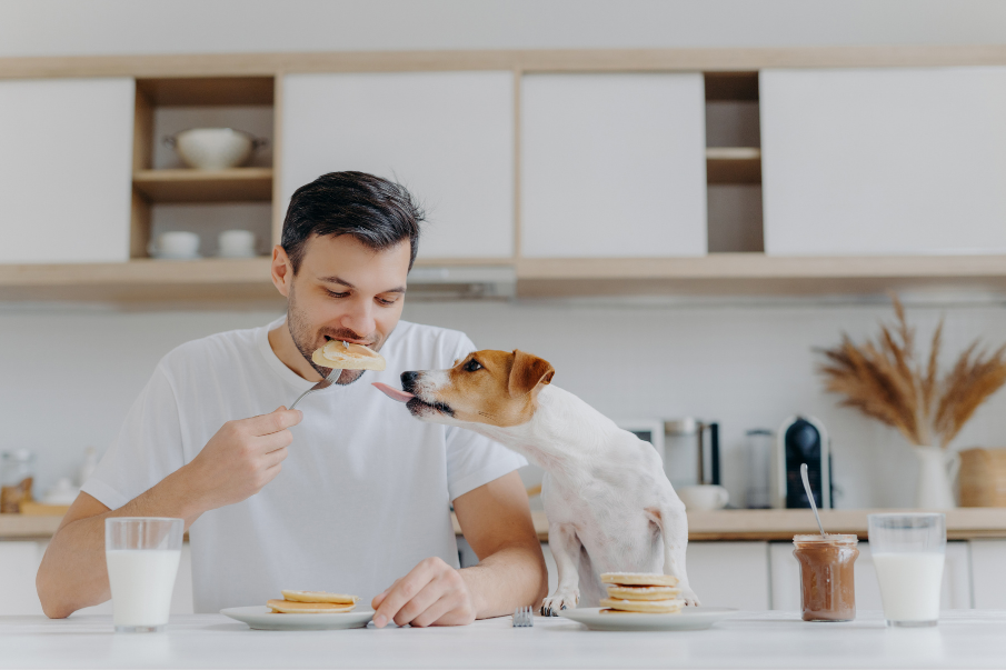dog trying to eat a man's pancakes