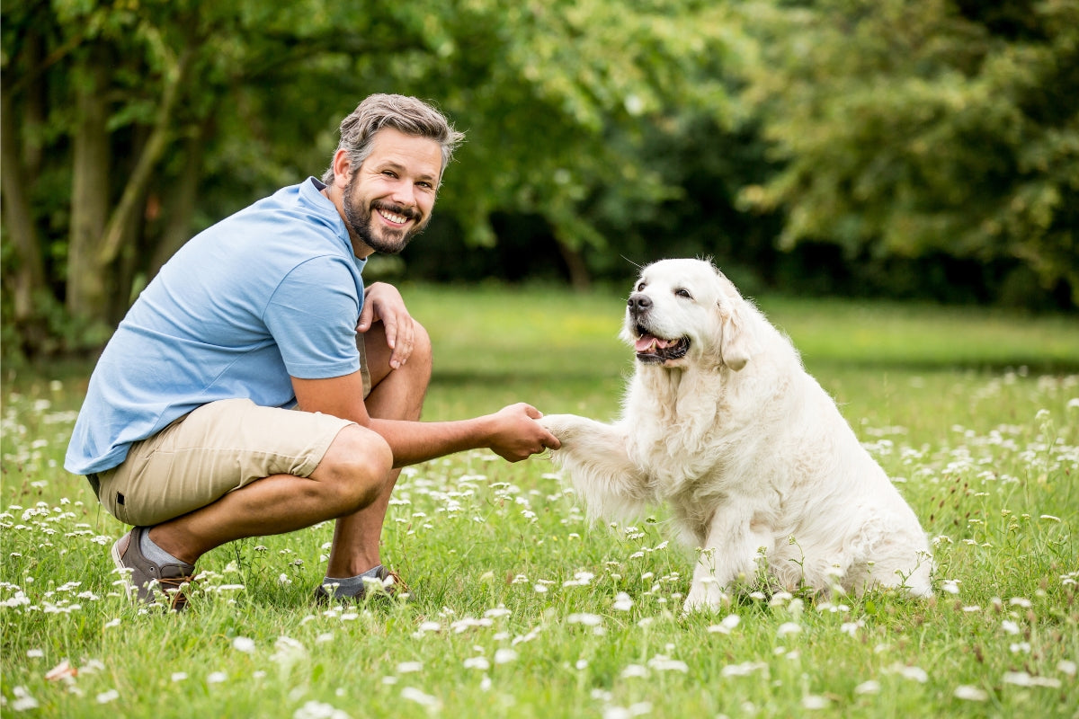 A dog and it's person sitting in a field of grass. 