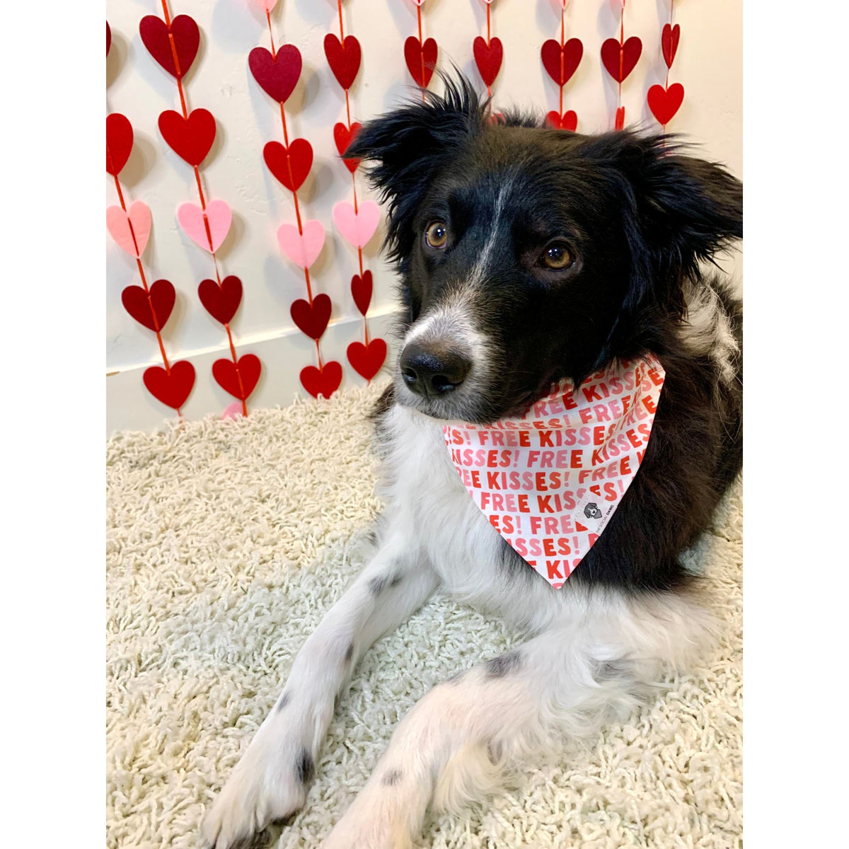 Free Kisses Valentine Slip-On Dog Bandana – The Social Dawg