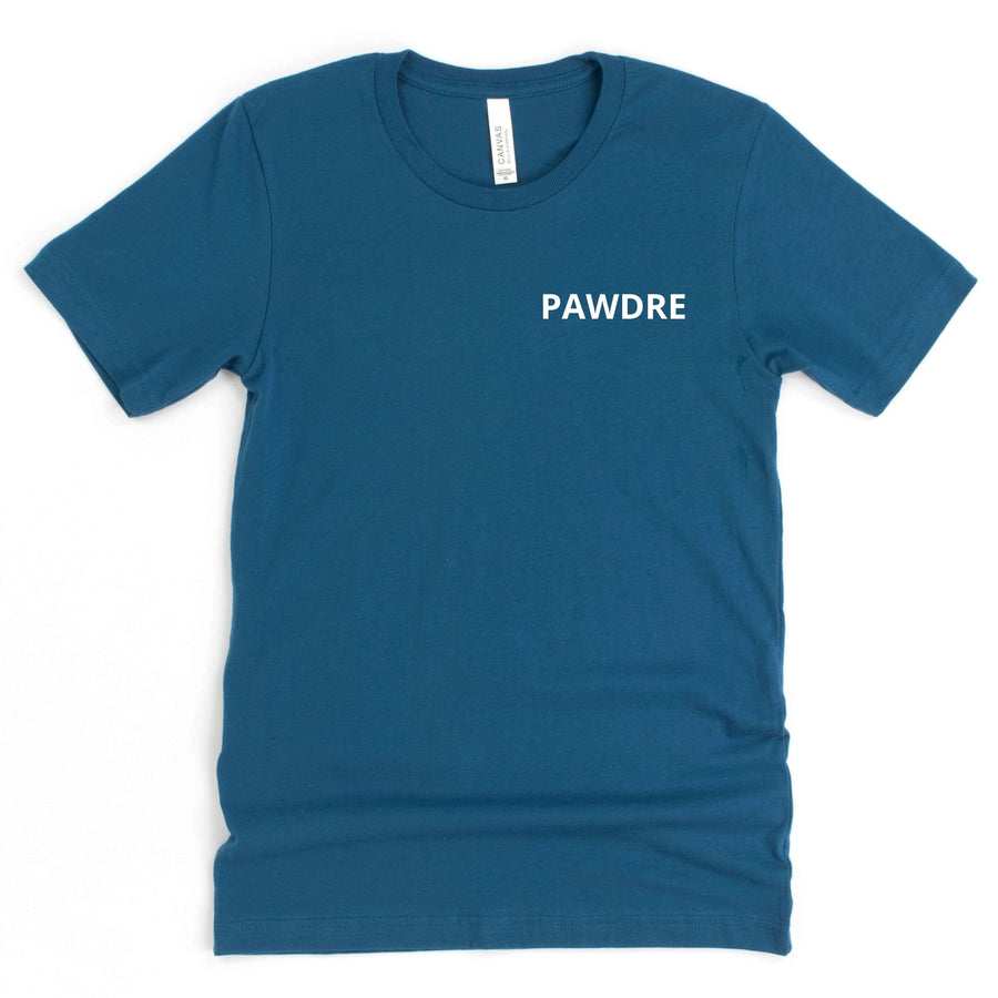 https://cdn.shopify.com/s/files/1/0455/5145/2313/products/pawdre-dog-dad-teal-tshirt.jpg?v=1649897065&width=900