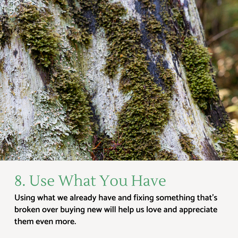 birch-babe-all-natural-skincare-9-ways-to-live-more-sustainably