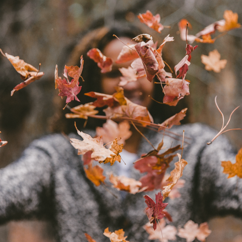 birch-babe-fall-skincare-autumn-vibes