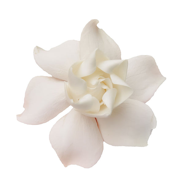 DAME SOLIFLORE Gardenia Perfum
