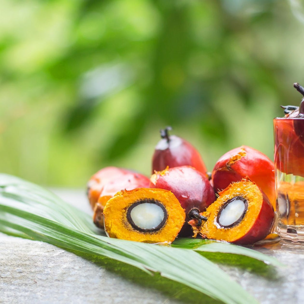 sustainably-source palm oil; benefits of palm oil