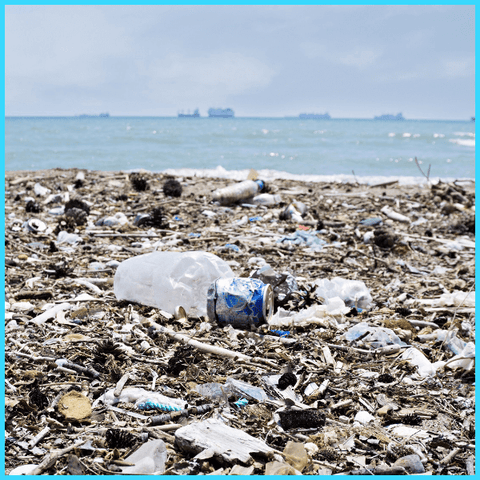 Plastic bottles and other rubbish floating on the Ocean