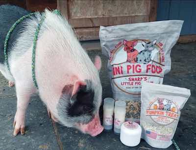 Sharps Pig Food