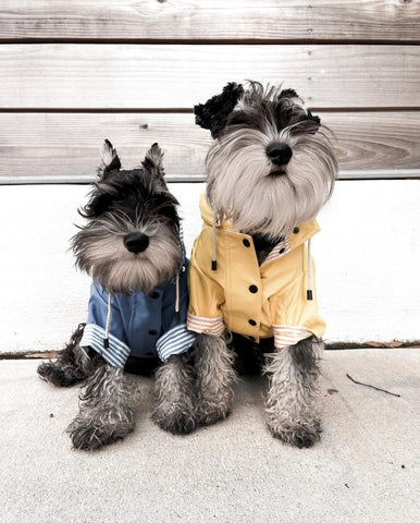 Beautiful Stylish dog Winter Jackets, Clothes