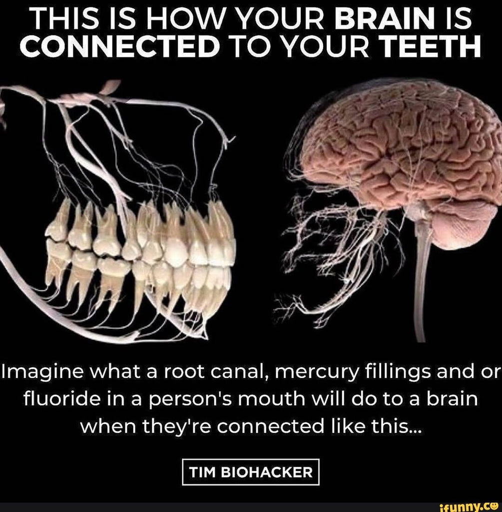 fluoride-in-brain