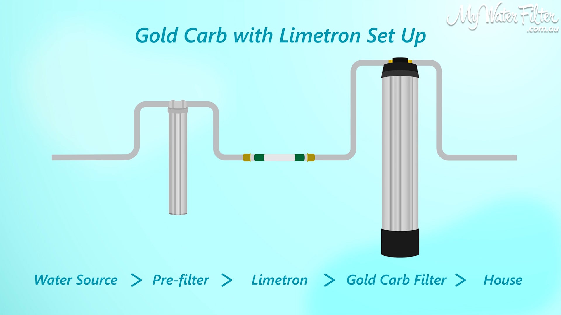 Gold Carb with Limetron Set-up