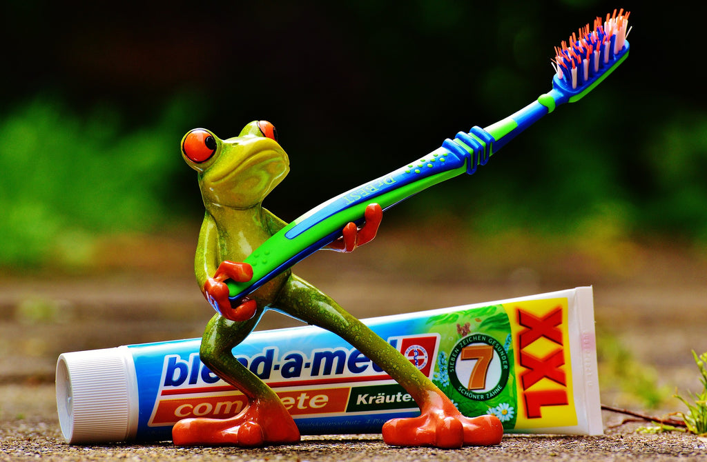 toothpaste-frog