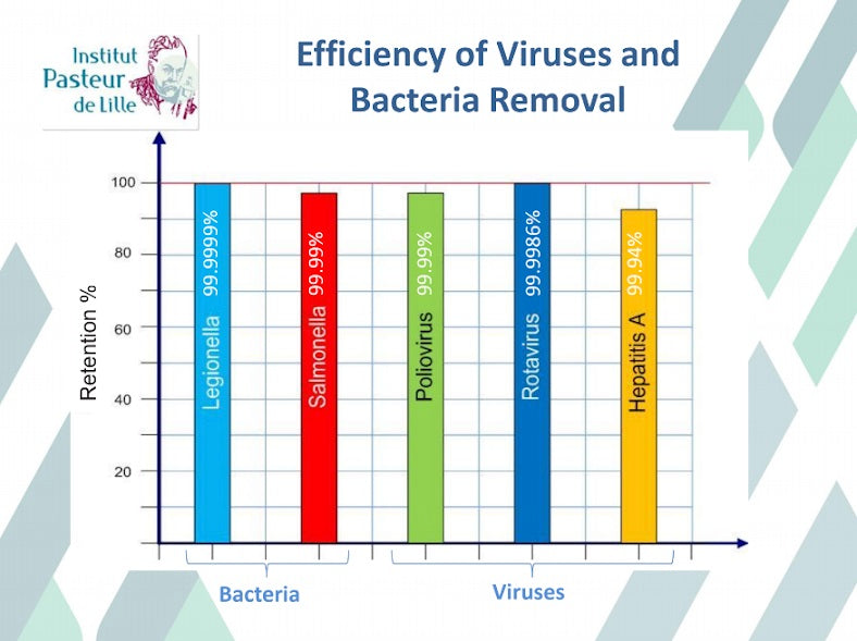 Efficiency of Viruses and Bacteria Removal