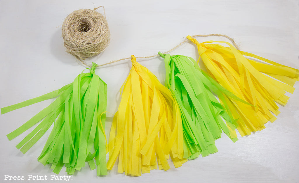 DIY, fringe, party, decor, how to, home decor