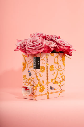 laylo boxed wine rosé sustainable