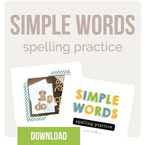 simple spelling words spelling practice for homeschooling